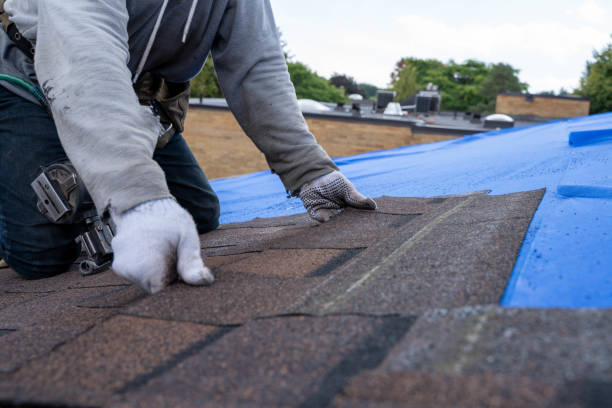 Sheet Metal Roofing in Lake Magdalene, FL